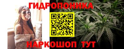 мяу мяу мука Рыбинск