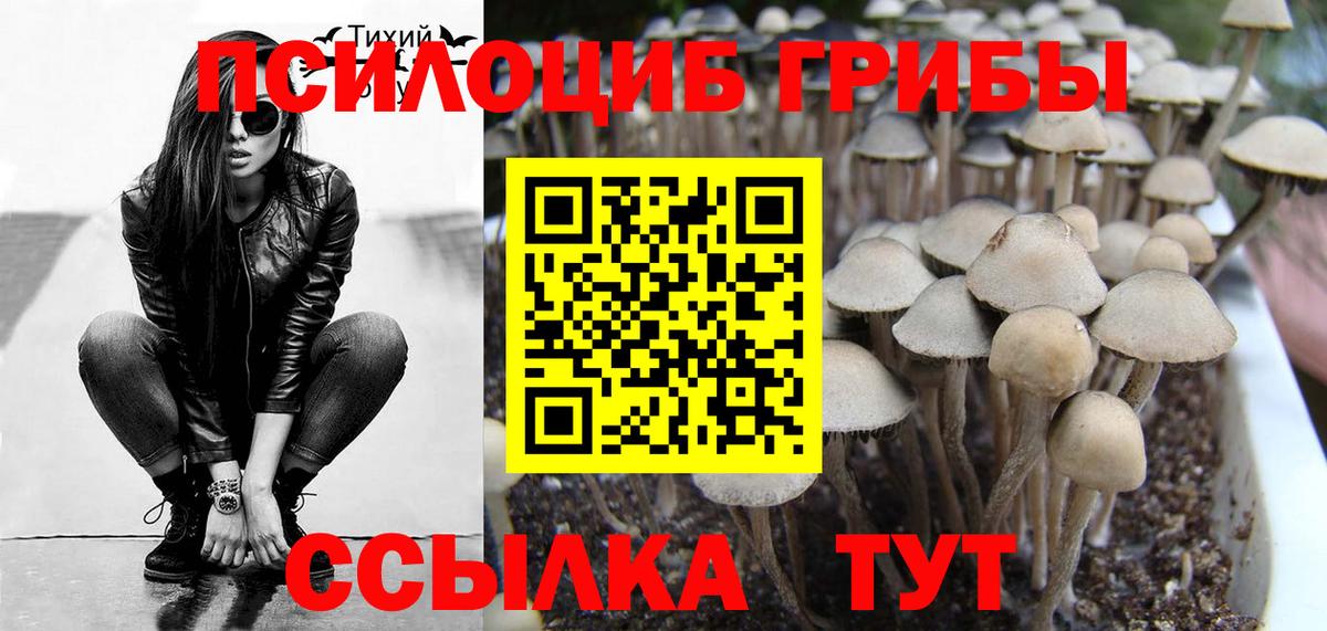 Псилоцибиновые грибы ЛСД Бахчисарай